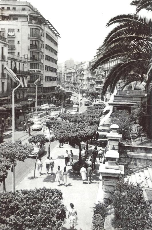 006-1.jpg