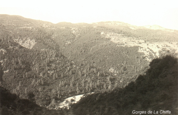 5.LaChiffa1