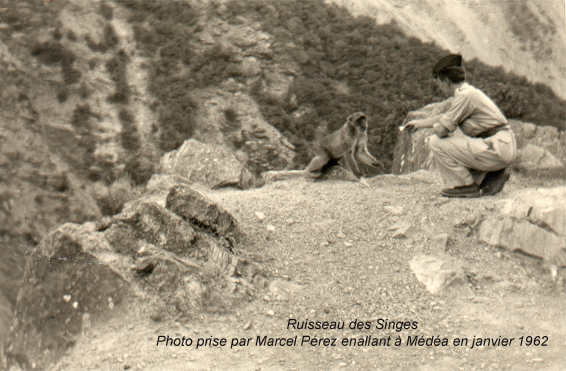7.LaChiffa5