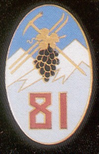 81eRIA